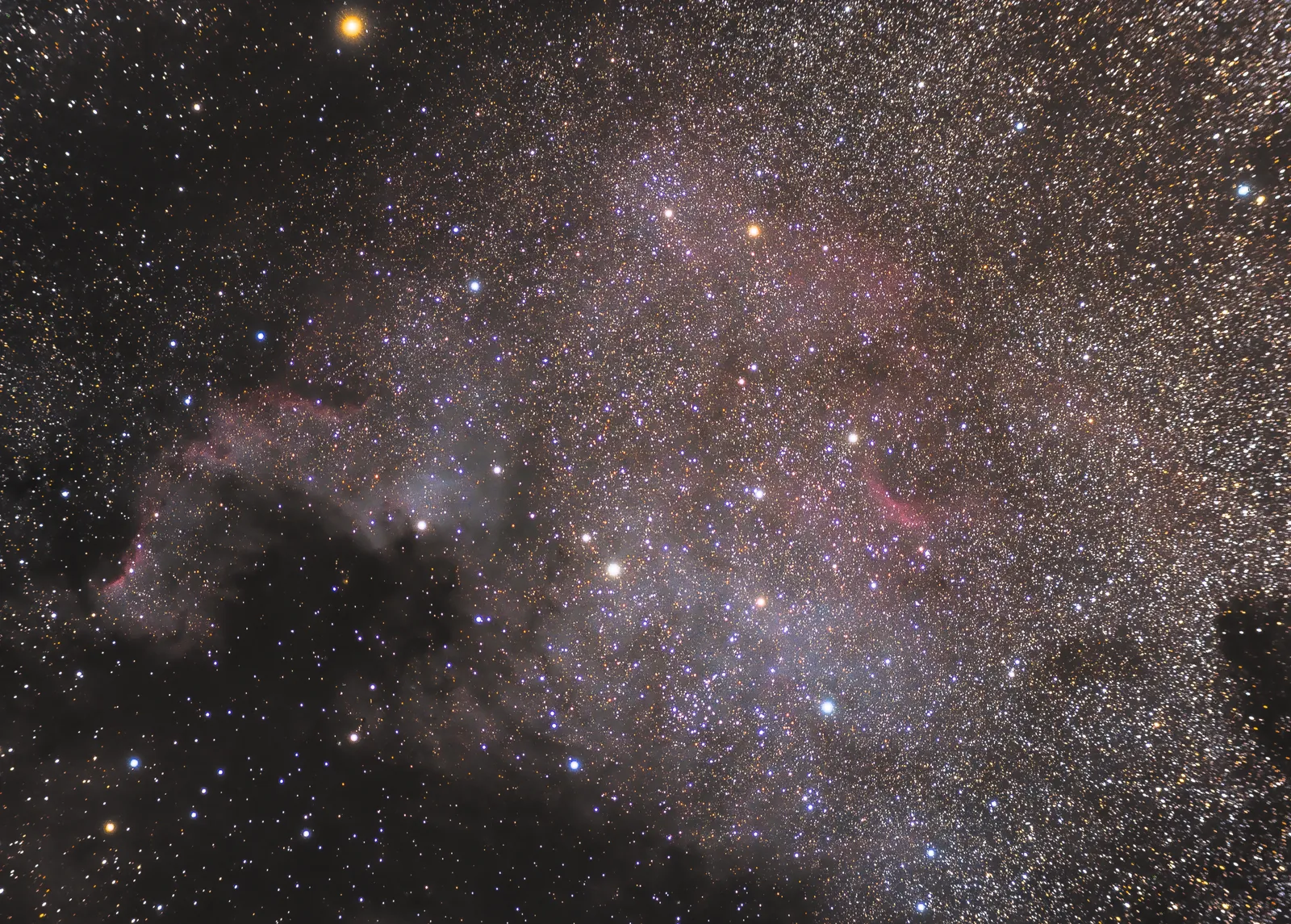 NGC 7000 — North America Nebula surrounded by dense Milky Way star fields and dark interstellar dust.
